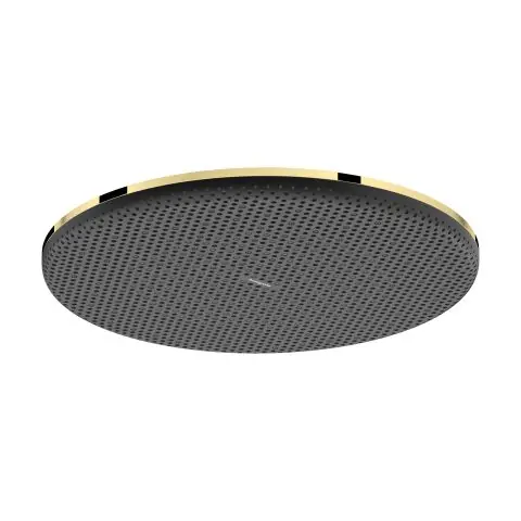 Begränsad tid Hansgrohe Raindance Alive S Huvuddusch